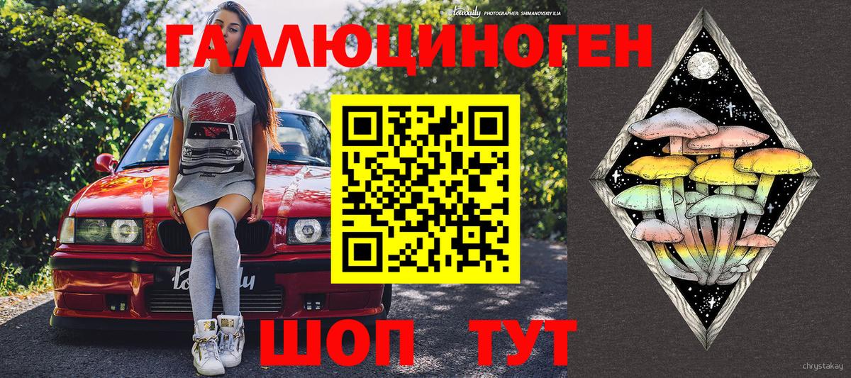 Псилоцибиновые грибы прущие грибы Балтийск